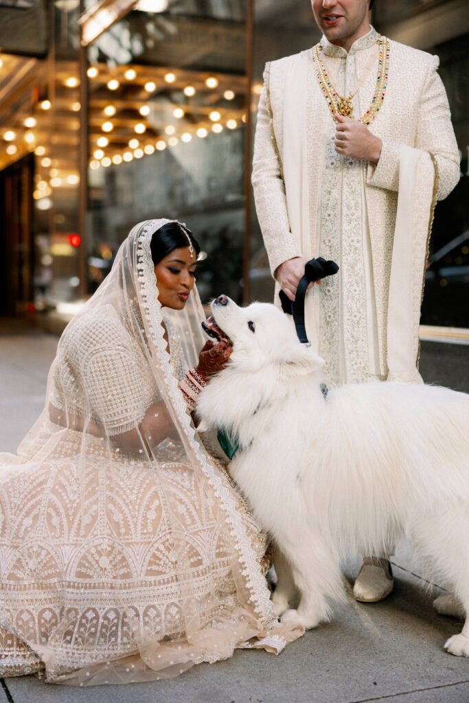 Bride and groom downtown Chicago portraits with their samoyed dog.