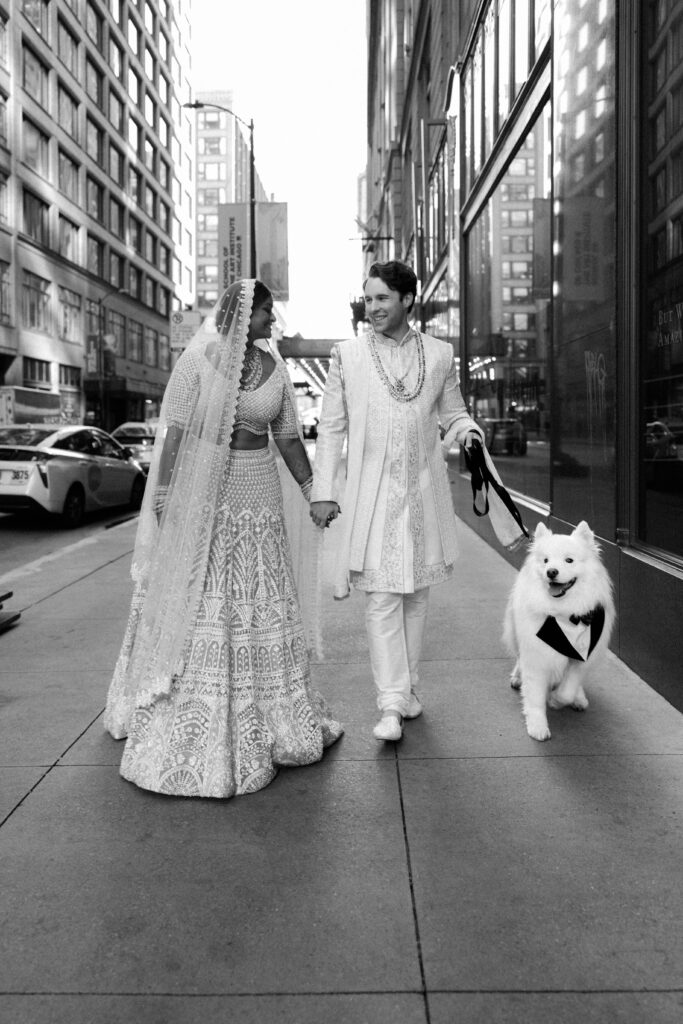 Bride and groom downtown Chicago portraits with their samoyed dog.