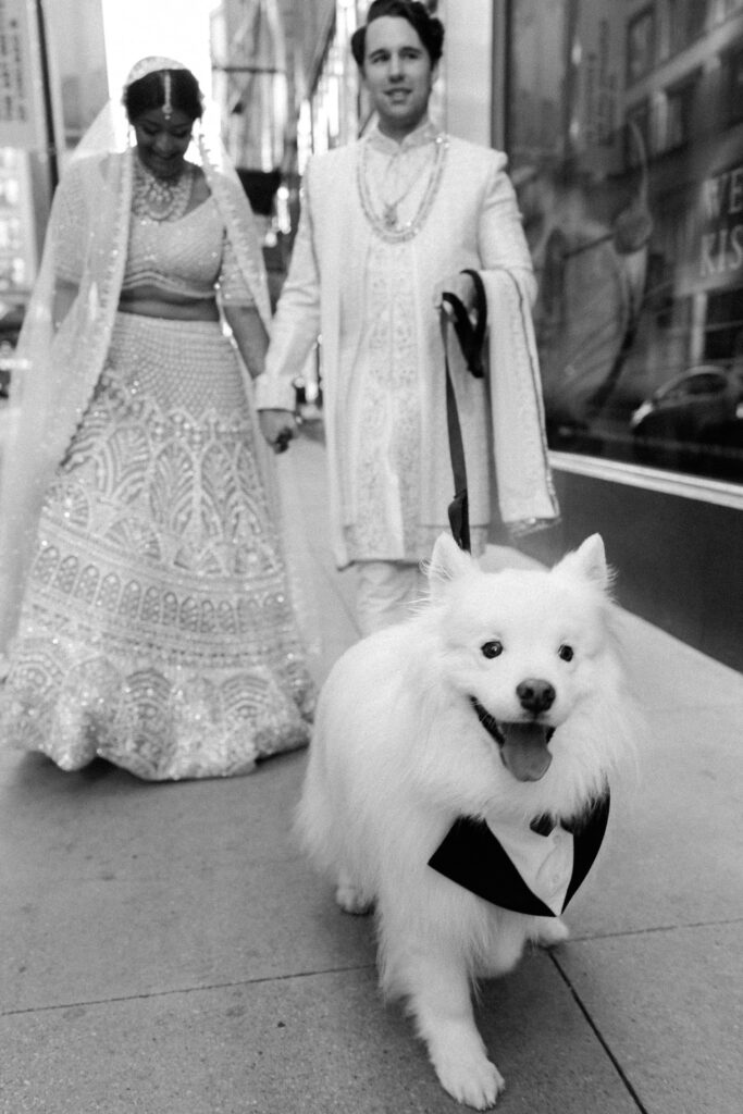 Bride and groom downtown Chicago portraits with their samoyed dog dressed in wedding attire.