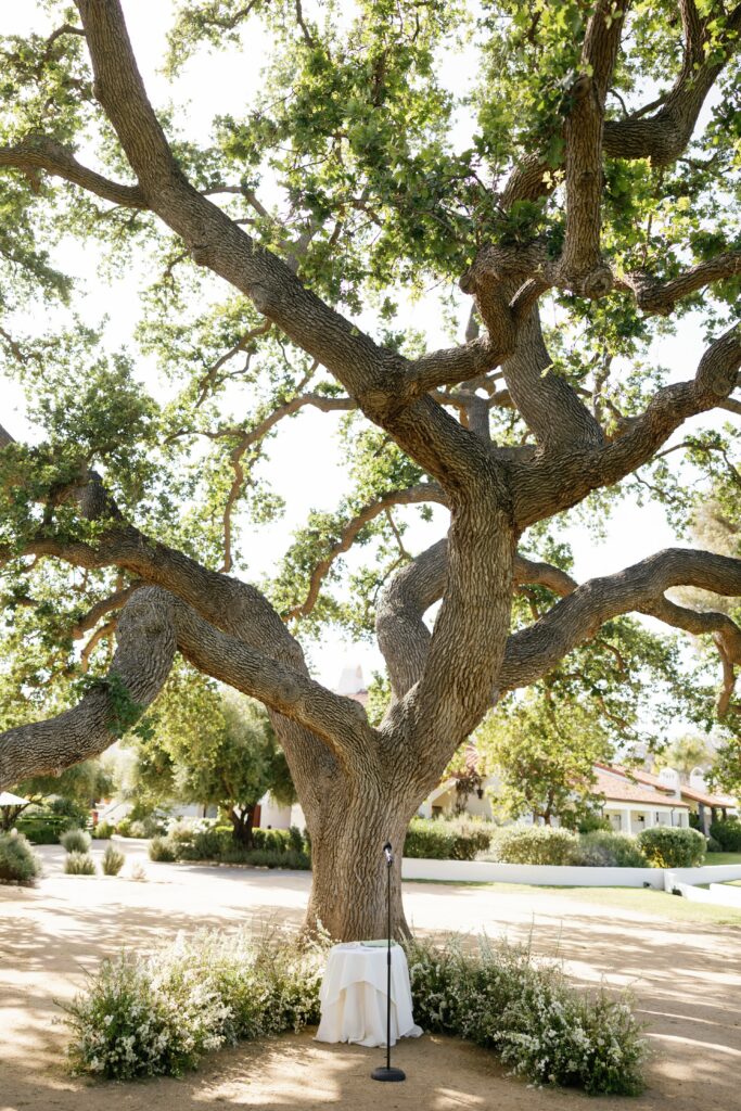Wishing Tree wedding ceremony on the Artist Cottage Lawn at Ojai Valley Inn wedding